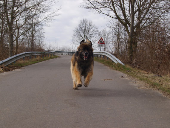 Wo ist die Geburtstagstorte?