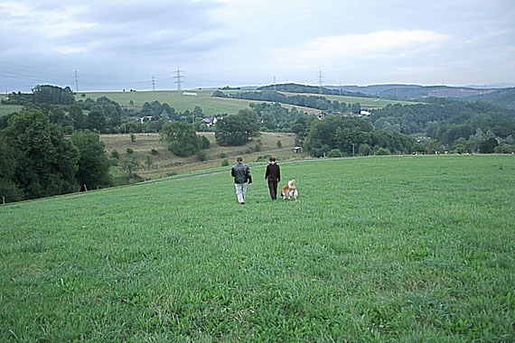 Kleine Hunderunde in Himmeroth