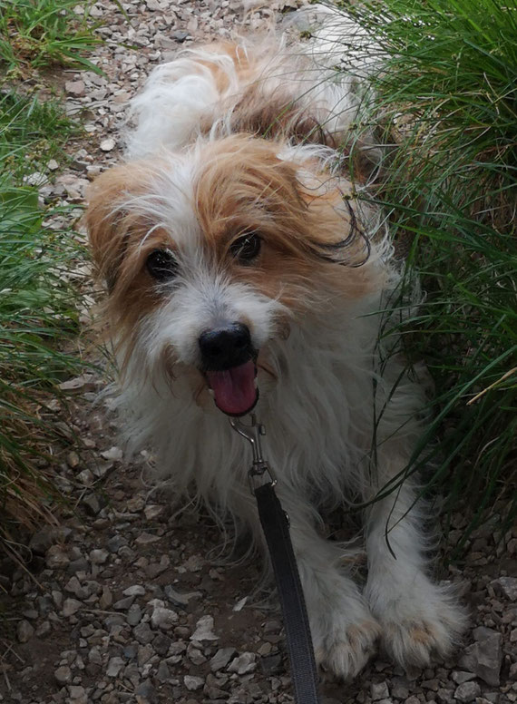 Ayla 11 Jahre