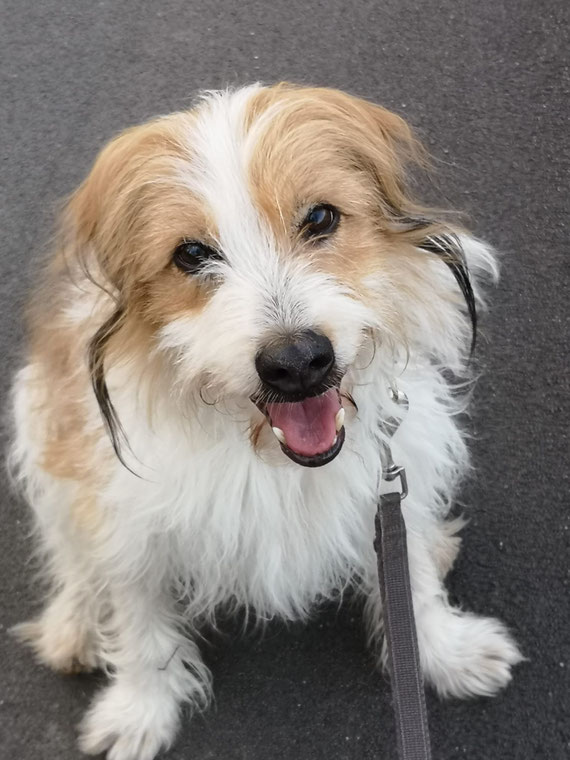 Ayla 10 Jahre