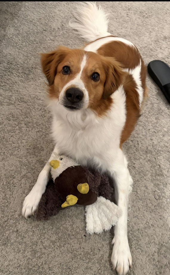 Bailey 8 Jahre alt 10.Mai 2026