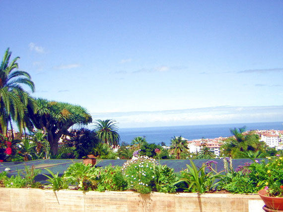 Meerblick über Puerto de la Cruz