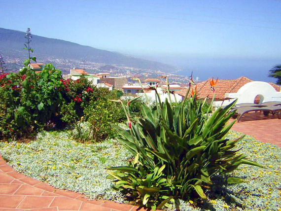Blick auf Puerto de la Cruz