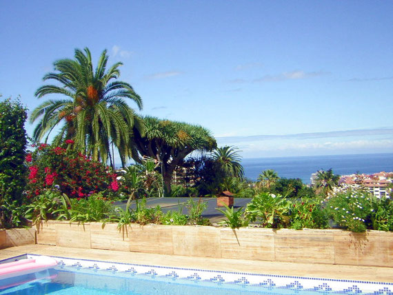 Wunderschöner Meerblick von der Terrasse und über Puerto de la Cruz