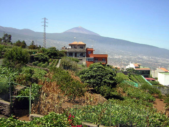und Blick auf den Teide
