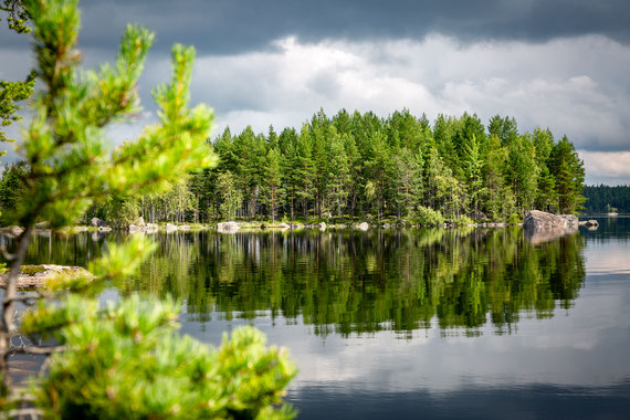 Schweden Tiomilaskogen