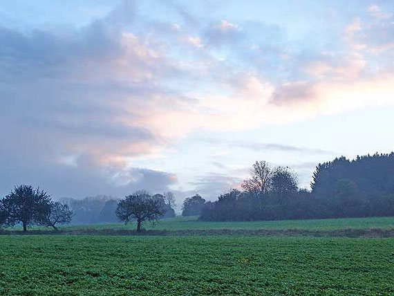 Morgenrot über dunklen Büschen und Bäumen auf der Schwäbischen Alb