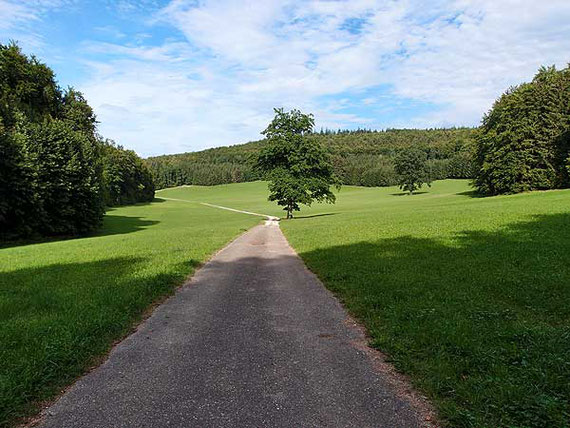 einsamer wanderweg auf der schwäbischen alb bei st. johann