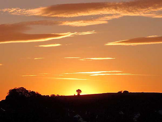 Sonnenaufgang über Sonnenbühl, der Himmel in Gelb-Rosa Licht getaucht