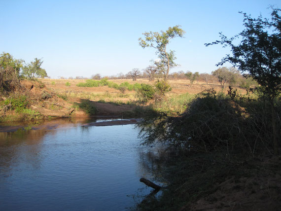 il Mutale e baobab in lontananza