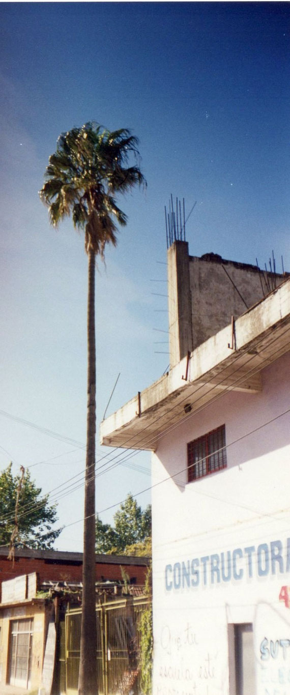 Datos tomados de:villaconstructora.wordpress.com