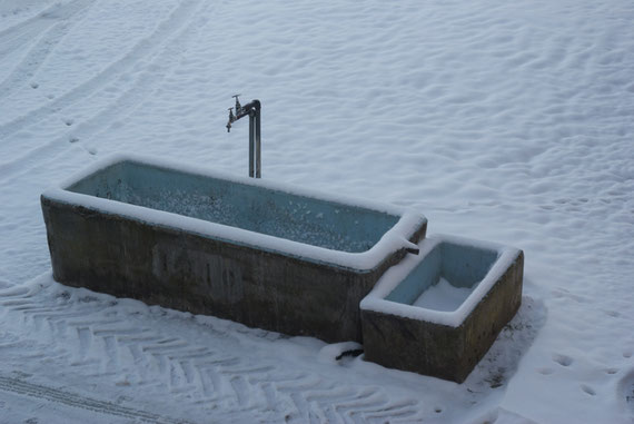 DER BRUNNEN VOR DEM HAUSE...