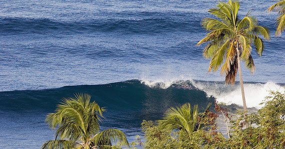 Surf, Rincon, Puerto Rico