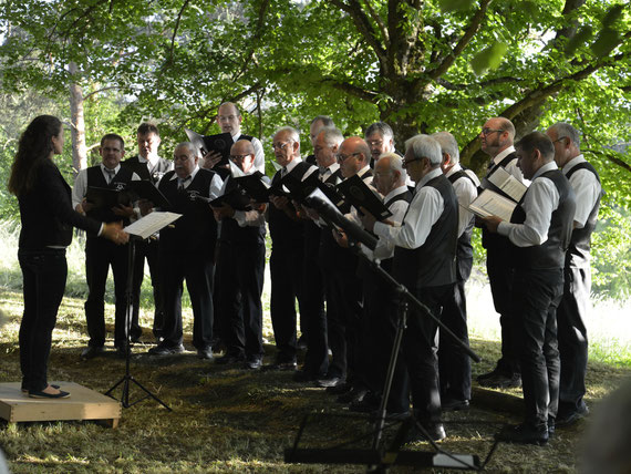 Serenade unter den Linden 2014