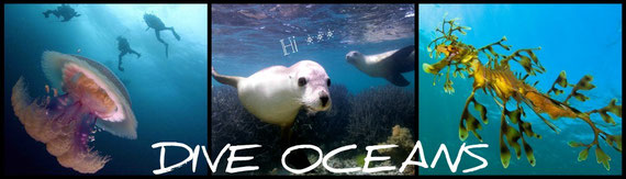 DIVE OCEANS