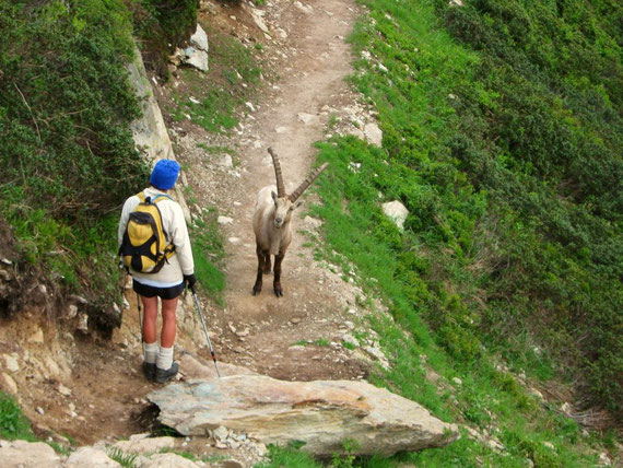 rencontre sur le Tour du Mont Blanc