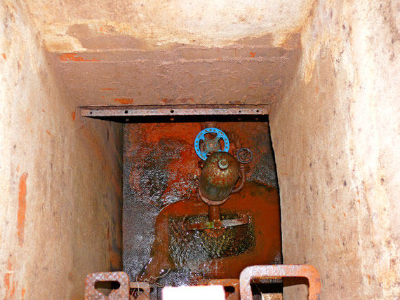 Widder in Tauchersreuth (Lauf a.d.Pegnitz)