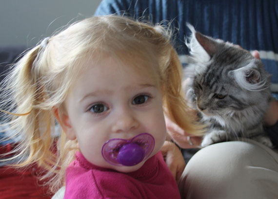 Beluna ist mit ihrer Schwester Bonny zu einer ganz lieben Familie mit zwei Kindern gezogen. Der Schmerz beim Abgeben ist wie immer unbeschreiblich groß, jedoch zu meinem Trost sind sie nicht weit entfernt und ich kann sie ab und an auch mal besuchen.