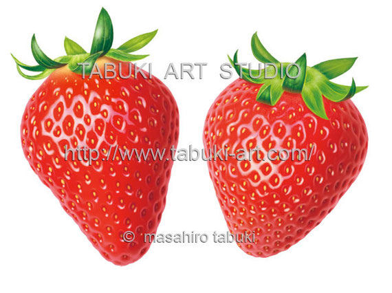 いちごのイラスト 12点 Real Illustration Samples いちごのイラスト 12点 Real Illustration Samples
