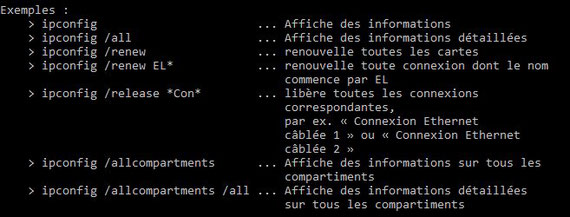 Microsoft Windows invite de commande ipconfig