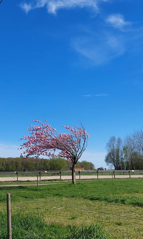 Le vent, ça décoiffe !!