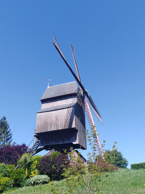 Moulin du Cat Sauvage, ELLEZELLES