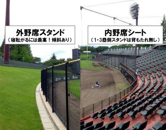 内野席 外野席の違いと座席ビュー 風とロック芋煮会2020ファンサイト 風とロッカーズ集会所