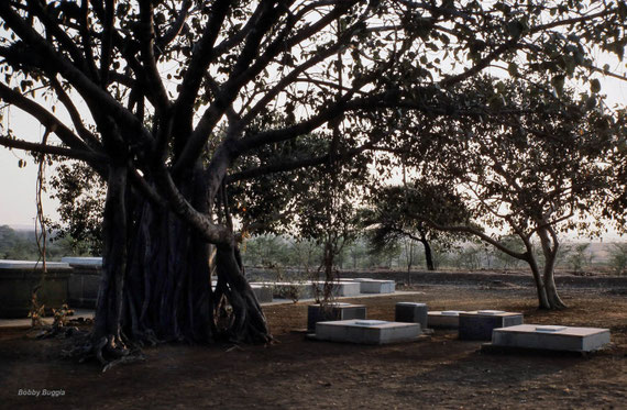 Old pet cemetry near Meher Baba's Samadhi at Upper Meherabad, India.
