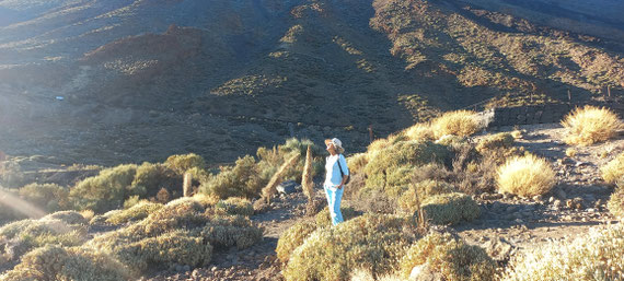 Au Pied du Teide. Crédit photo D. Lavagne