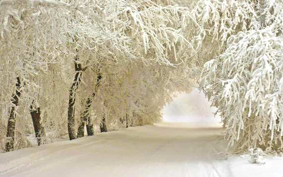 Fond d'écran Hiver