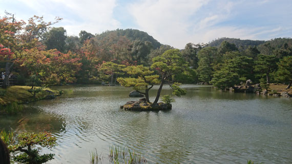 鏡湖池（きょうこち）に浮かぶ「葦原島」（あしはらじま）