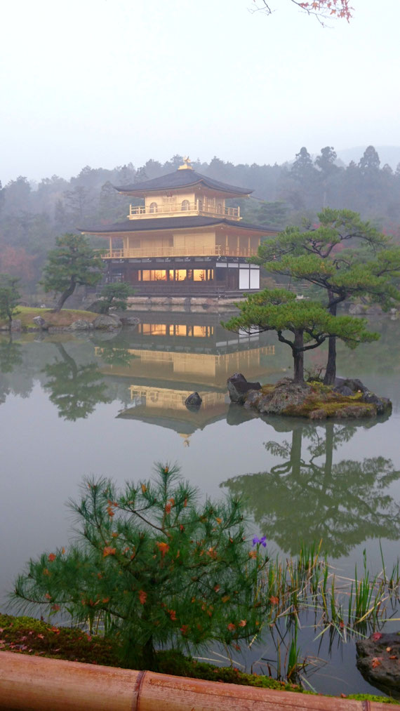 京都観光タクシー 永田信明 Nobusan