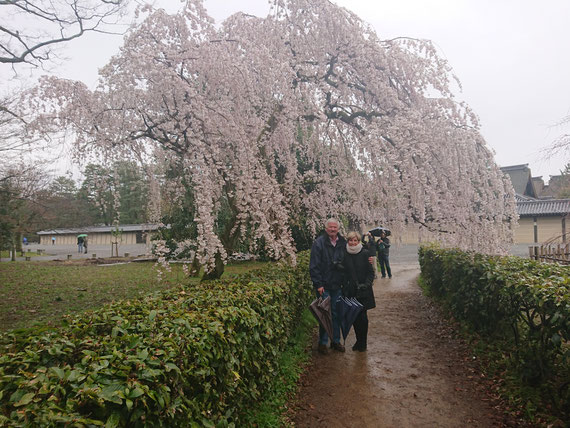 Kyoto Imperial Palace, Kyoto Gosho