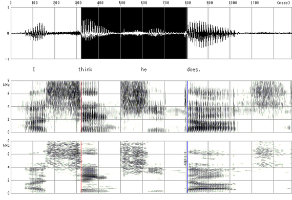 音響分析ソフトによる分析の例。音声データを音響分析ソフトで分析した結果の一部です。英語の（強勢拍）リズム習得の指標として、強勢と強勢の間（図の黒い部分）の時間変化を用いました。
