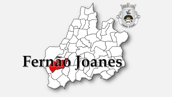 Freguesia de Fernão Joanes (Guarda)
