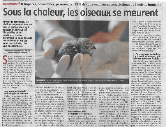 La Revue De Presse Sos Faune Sauvage Limousin