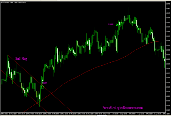 Bull Flag