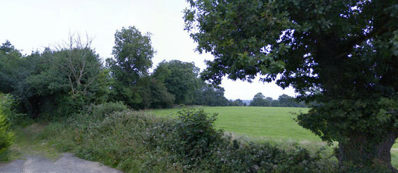 Small scattered remnants of woodland remain, here at Crabmill Lane. Click the image to go Google Maps.