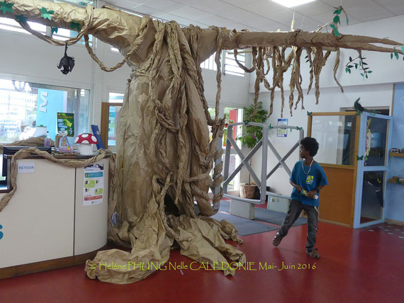 Le BANYAN nous accueille pour ce FESTIVAL de CONTES: Forêts...