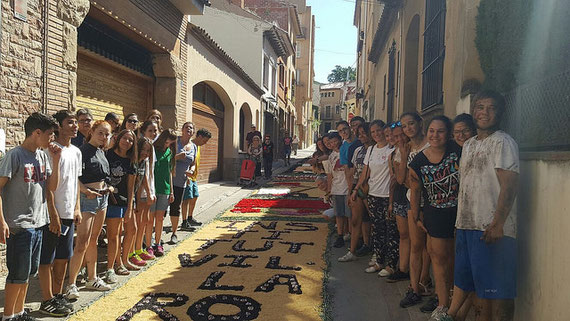 corpus 2017 institut vil·la romana