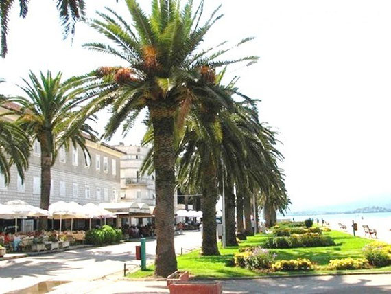 Tivat promenade