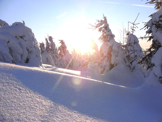 So schön kann eine Winterlandschaft ausehen