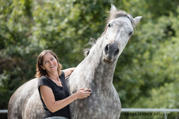 Clickertraining: Achte auf das emotionale verhalten deines Pferdes