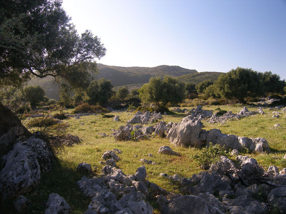 Ecotopia ist ein Naturpark