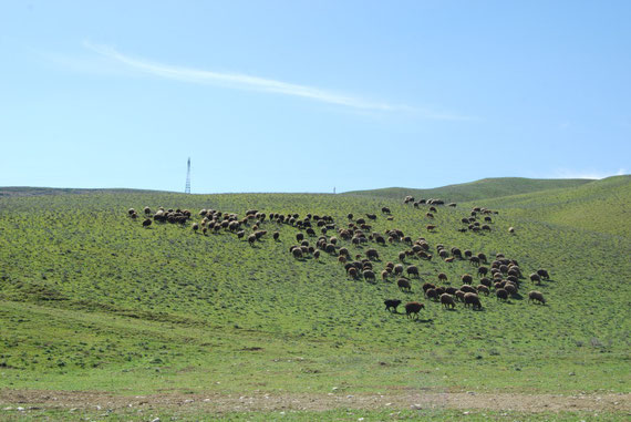 voyage à vélo en azerbaïdjan, bike touring