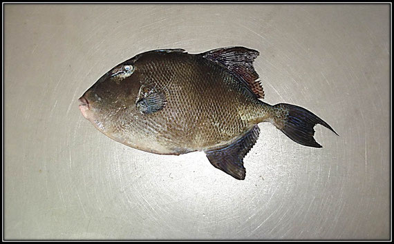01/09/2011