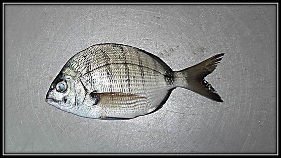 01/09/2011