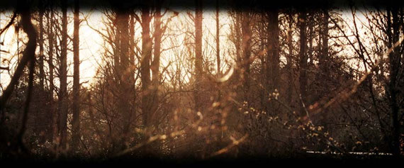The morning light realises, not to remain gripped in the pallor of what was.