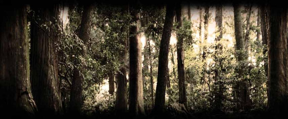 Beyond what I consider a difficult hurdle, there is often a place of hope.