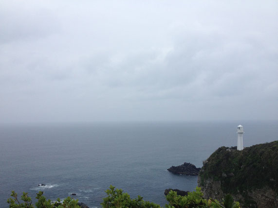テニサポ 四国 足摺